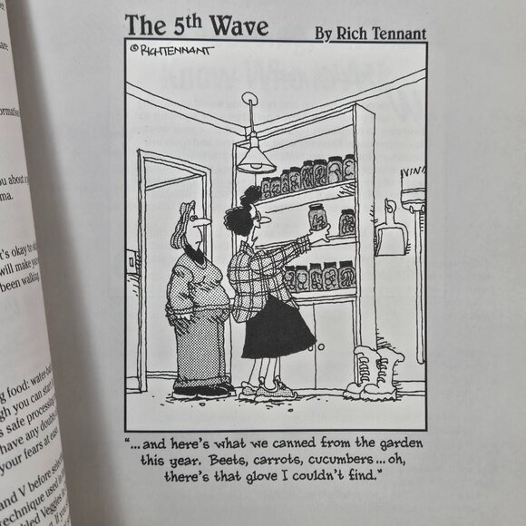Vintage 2003 Canning and Preserving for Dummies Cookbook Reference Book - Picture 9 of 16
